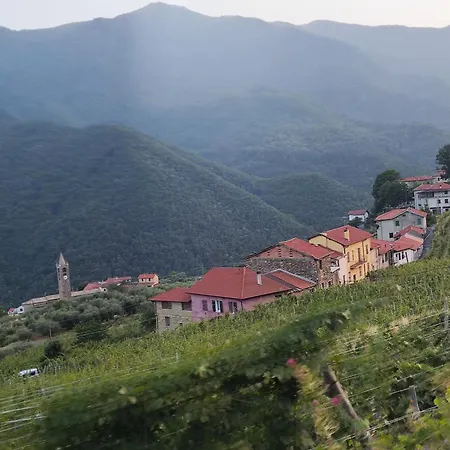 別荘 Art Razzamir *