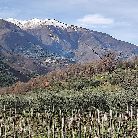 別荘 Art Razzamir Ponte di Nava