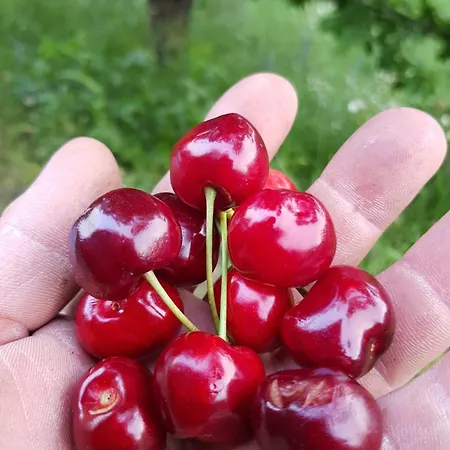 Art Razzamir 別荘 *